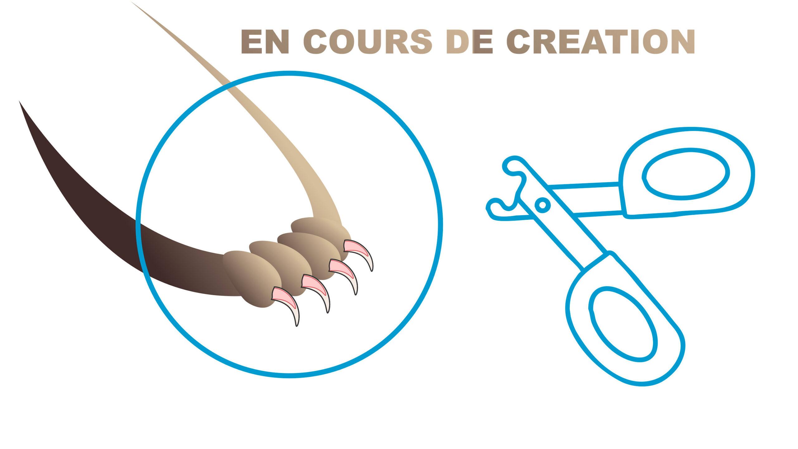 Coupe des Griffes