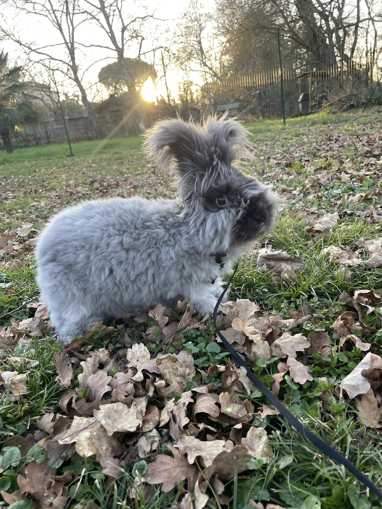 You are currently viewing Guillaume A.