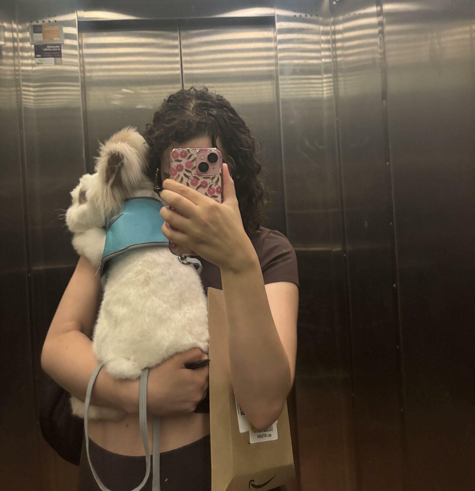 Lire la suite à propos de l’article L’ADOPTION d’un LAPIN ADULTE